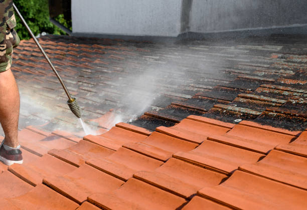 Pressure Washing Contractors in Port Hadlock Irondale, WA